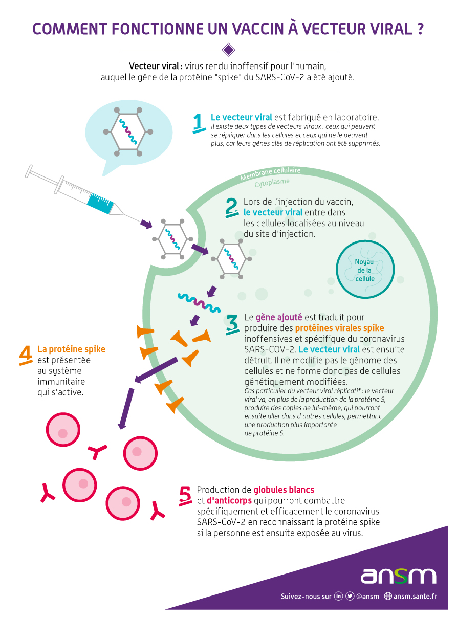 Vac Covid Le D Veloppement Et Les Diff Rents Types De Vaccins