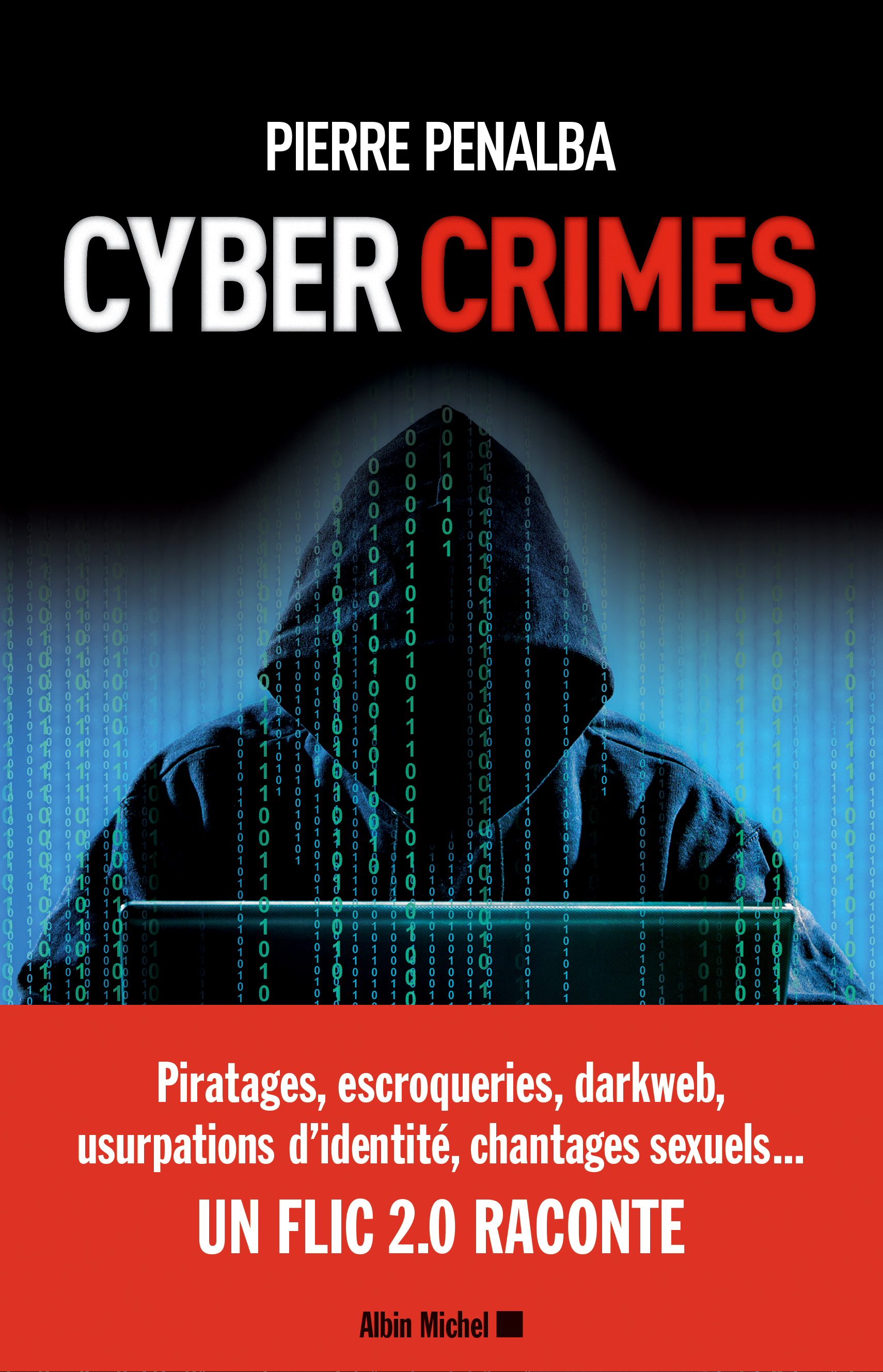 cyber crimes